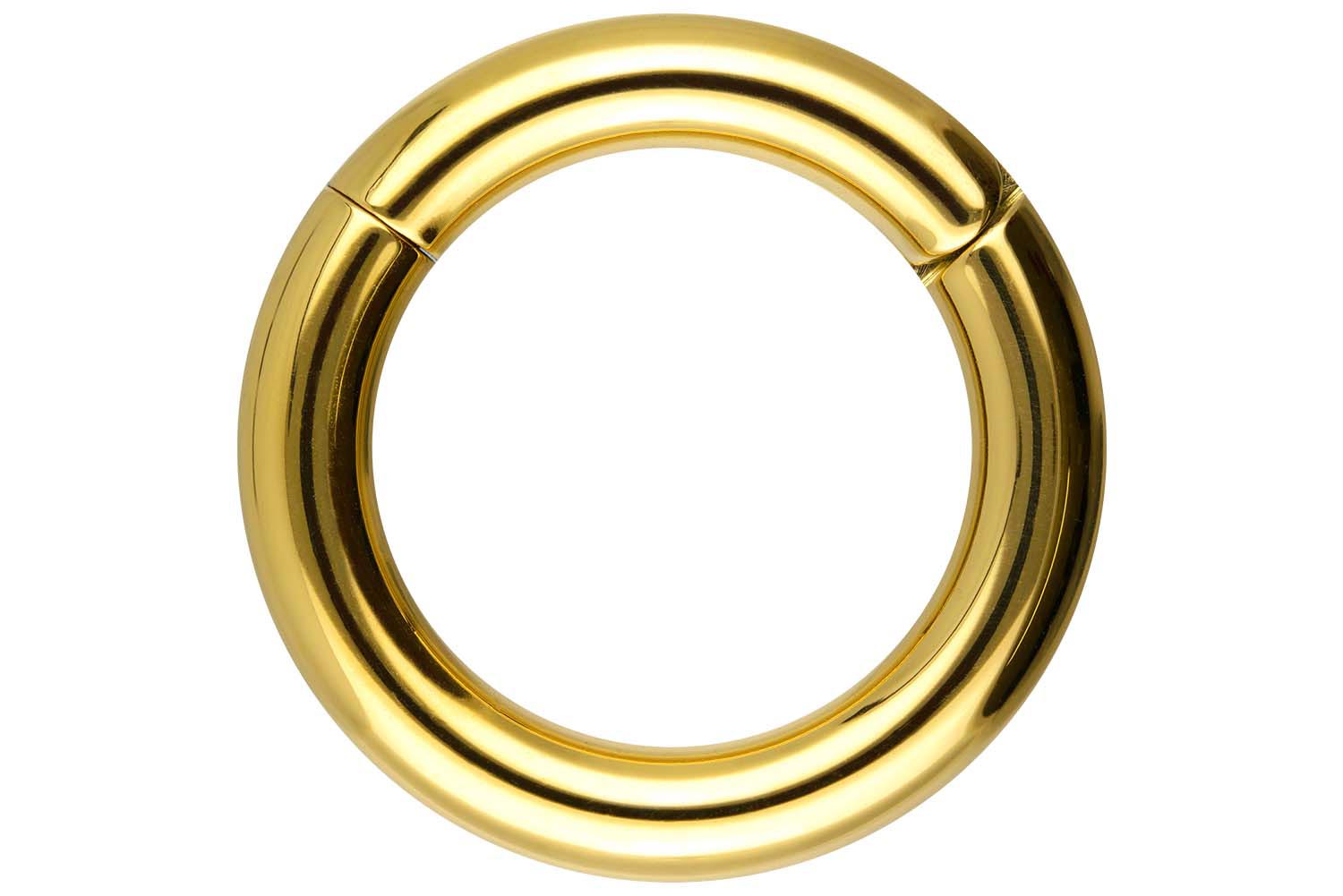 Chirurgenstahl Segmentring Clicker Piercing
